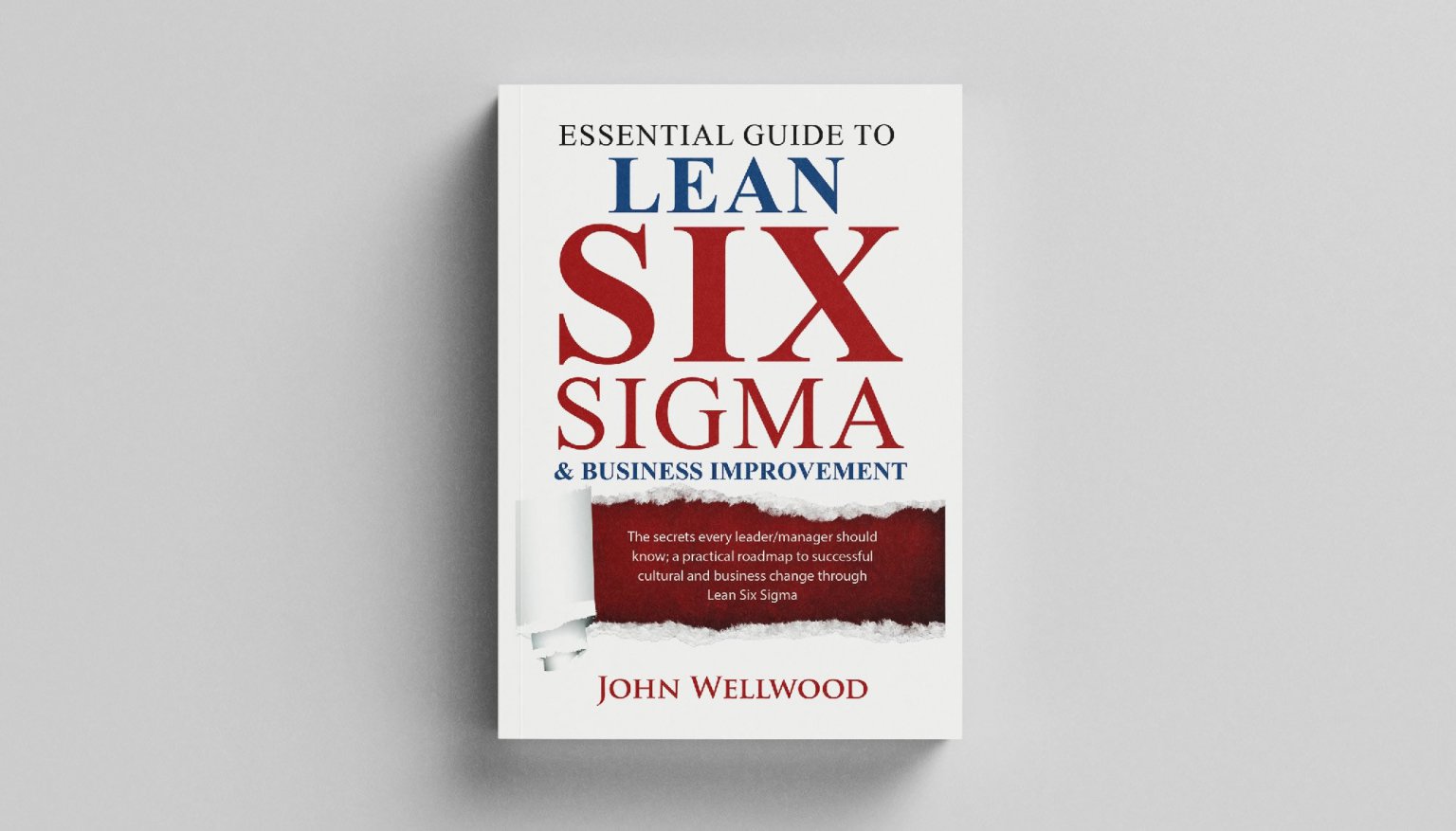 The Best Lean Six Sigma Book 100 Effective